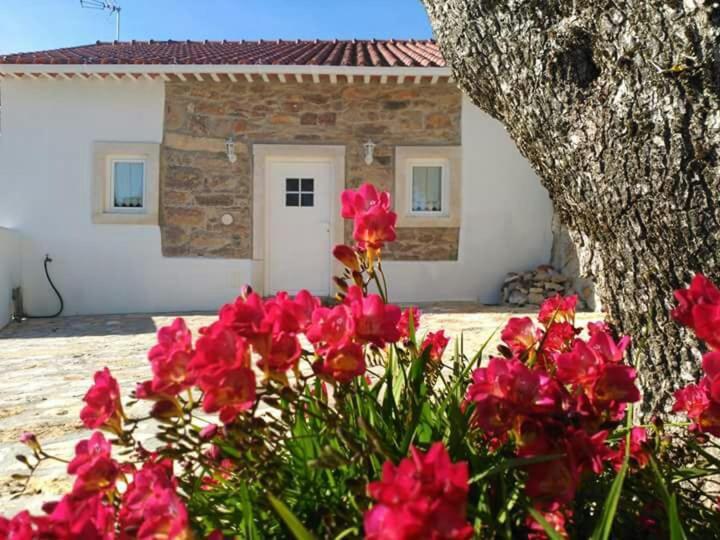 Casa Da Figueirinha